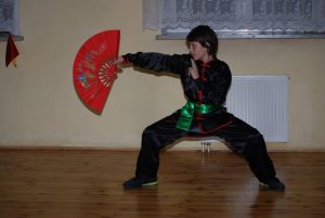 kung fu dla dzieci